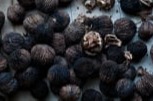 Black Walnut